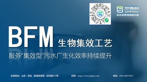 思普潤(rùn)BFM生物集效工藝 賦能集效型污水廠，驅(qū)動(dòng)生化效率的持續(xù)躍升